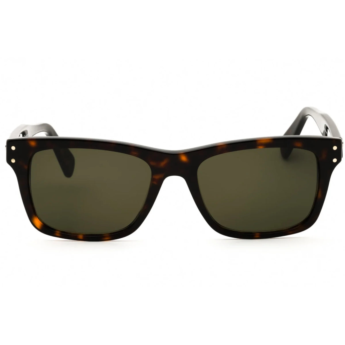 Salvatore Ferragamo SF1039S - Tortoise - main - 240