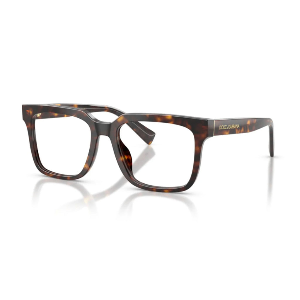 Dolce & Gabbana DG3422 - Havana - main - 502