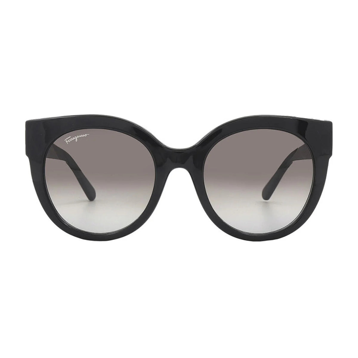 Salvatore Ferragamo SF1031S - Shiny Purple - main - 513