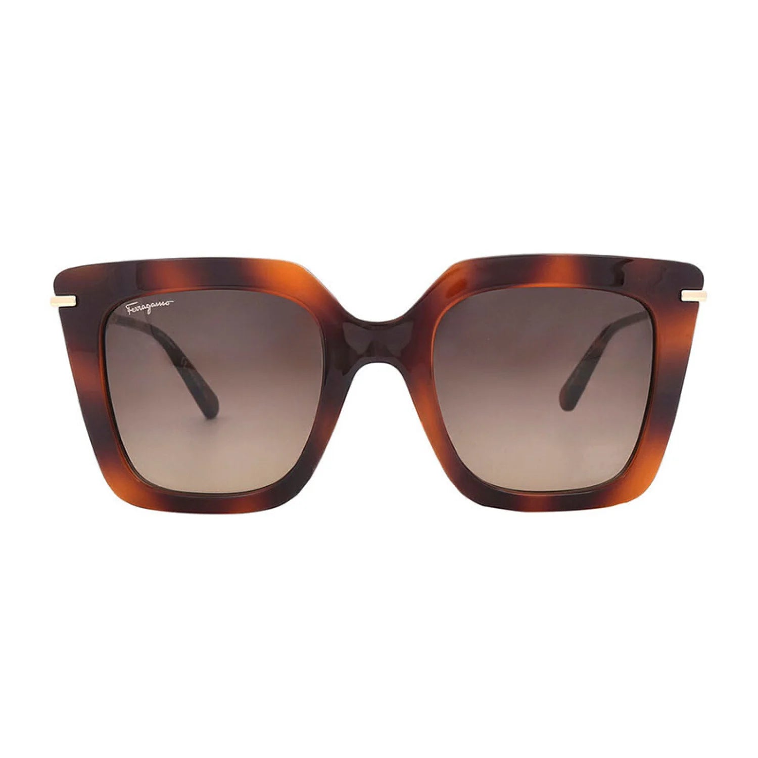 Salvatore Ferragamo SF1041S - Classic Havana - main - 238