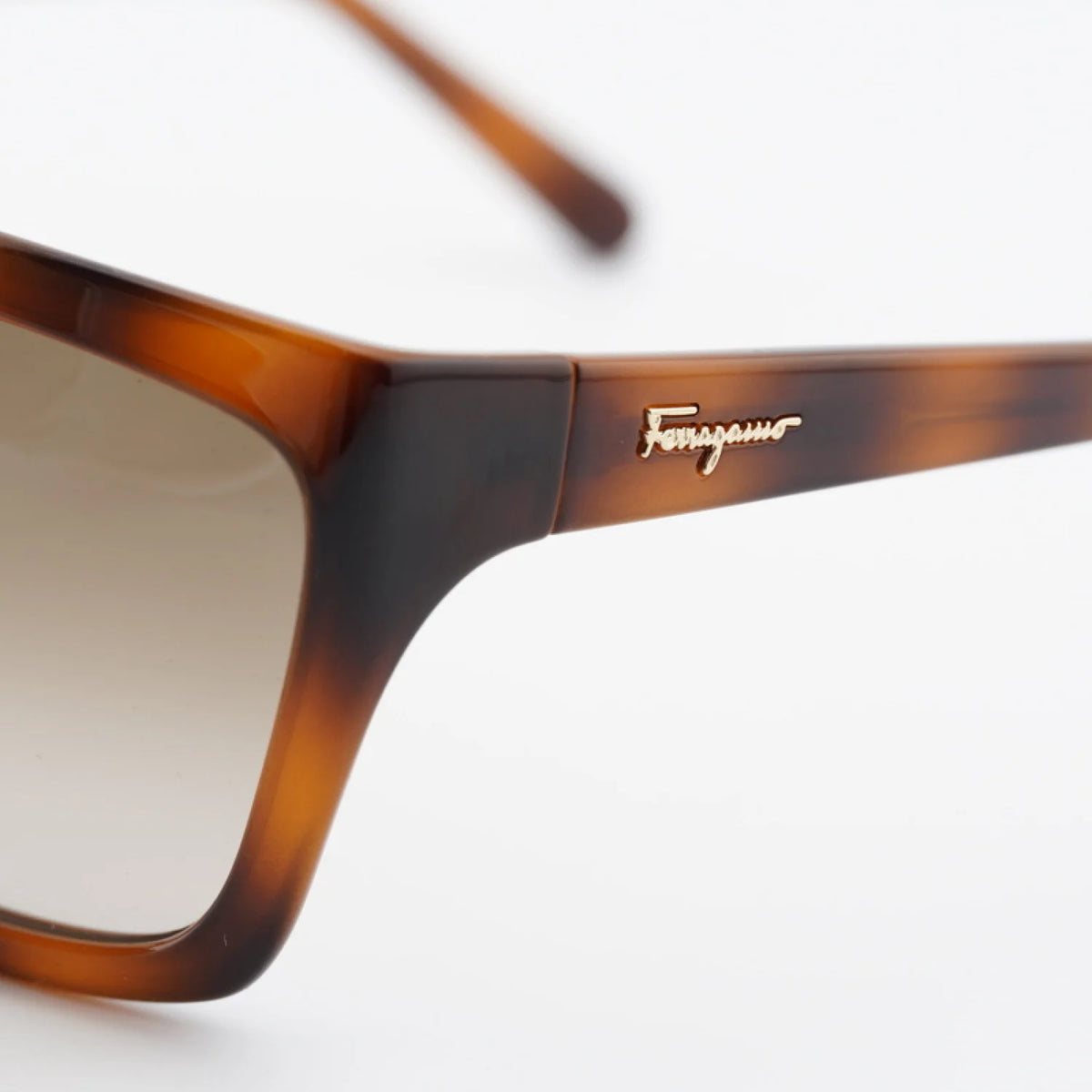 Salvatore Ferragamo SF1018S - Transparent Wine - main - 655