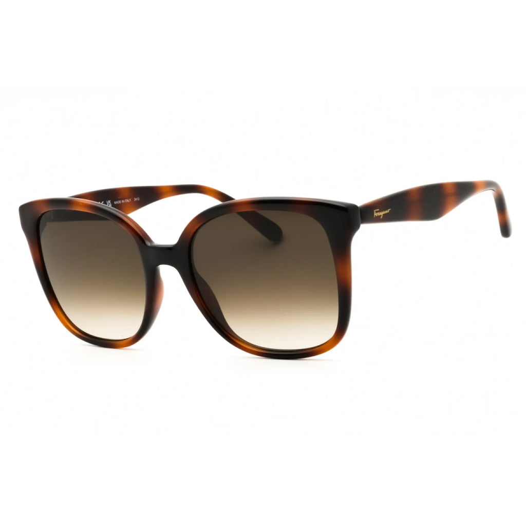 Salvatore Ferragamo SF1072S - Tortoise - main - 240
