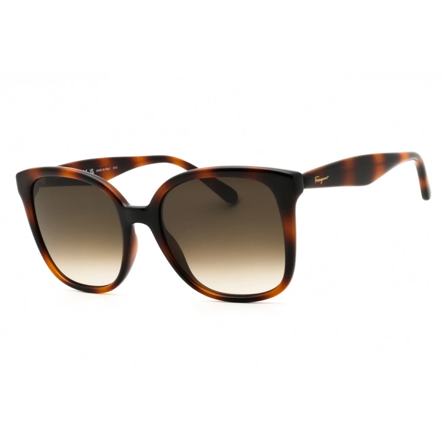 Salvatore Ferragamo SF1072S - Tortoise - main - 240