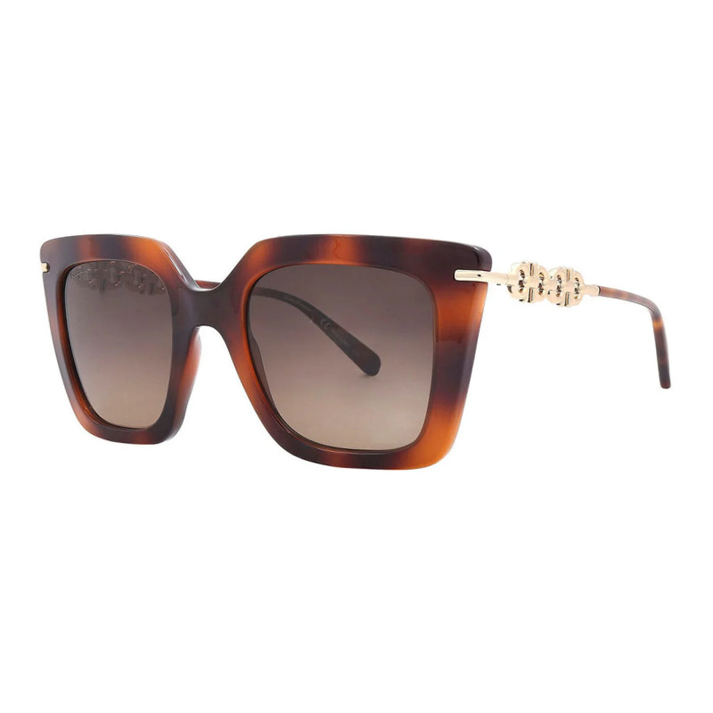 Salvatore Ferragamo SF1041S - Classic Havana - main - 238