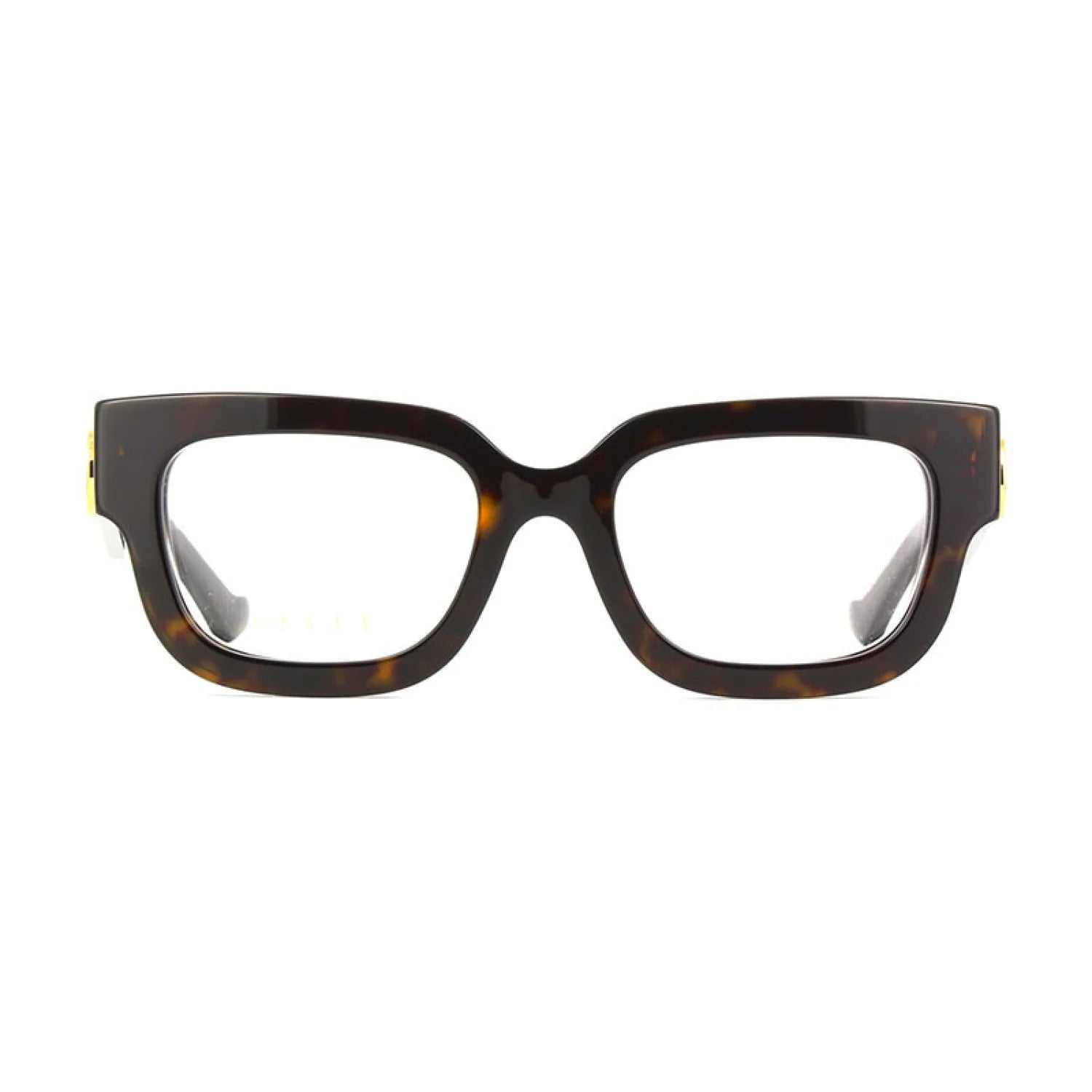 Gucci gg1548o - Dark Havana