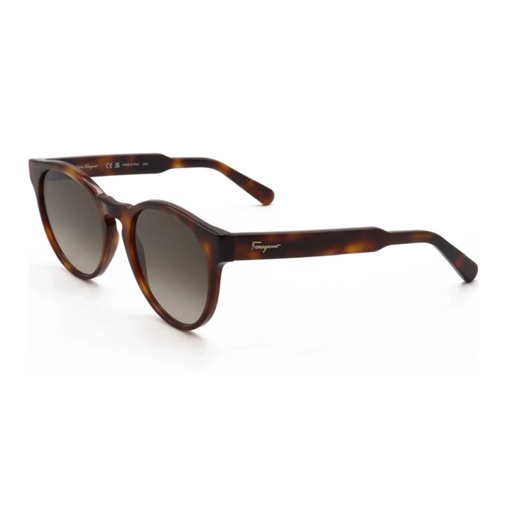 Salvatore Ferragamo SF1068S - Crystal Sand - main - 278
