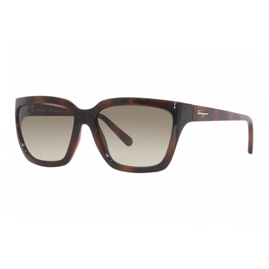 Salvatore Ferragamo SF1018S - Transparent Wine - main - 655