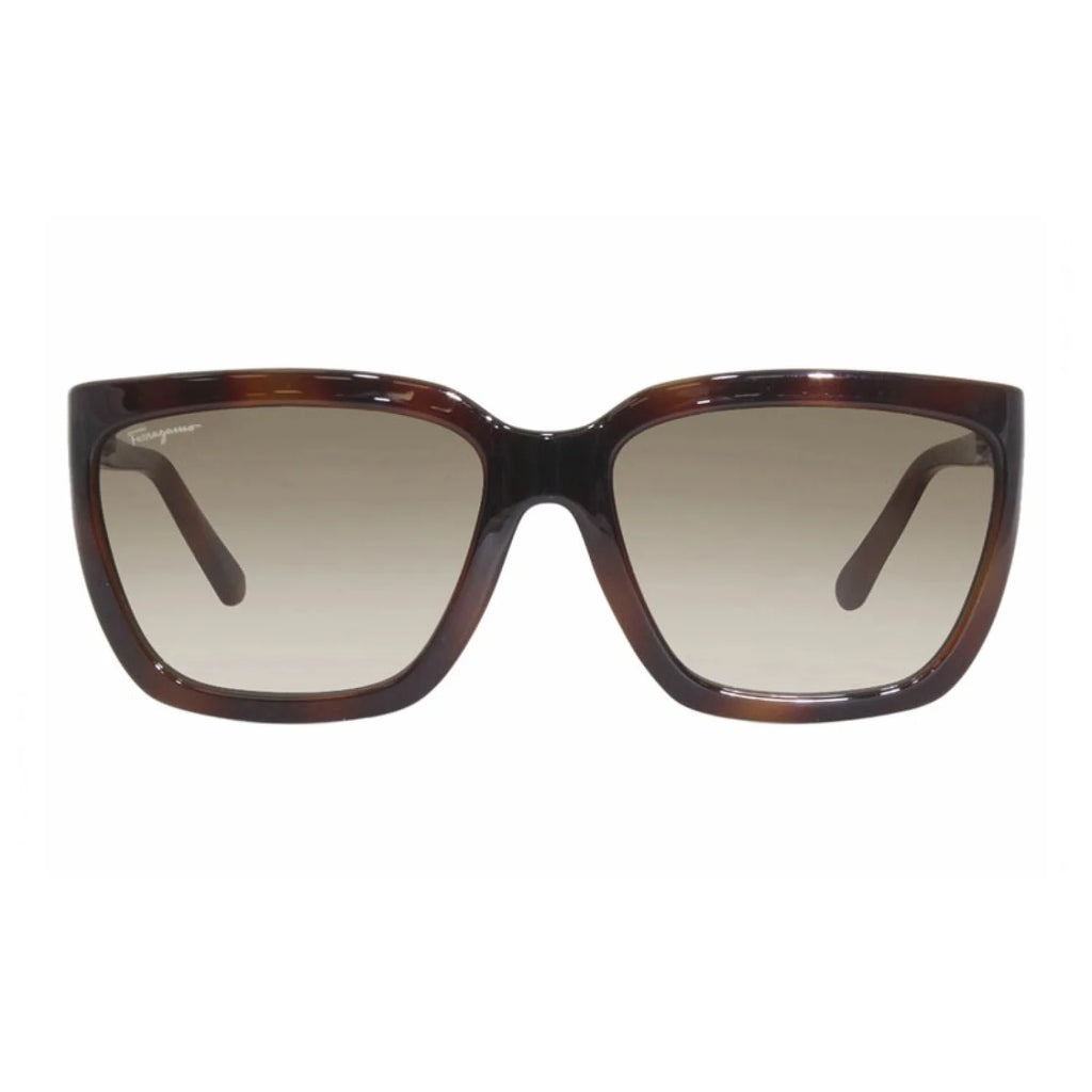 Salvatore Ferragamo SF1018S - Transparent Wine - main - 655