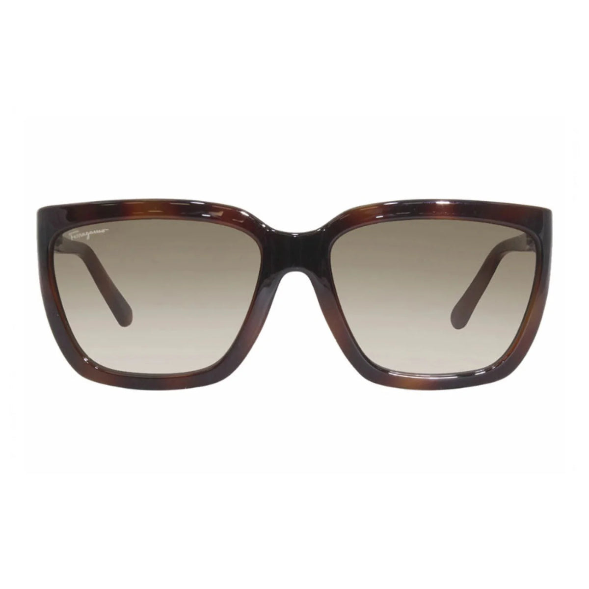 Salvatore Ferragamo SF1018S - Transparent Wine - main - 655