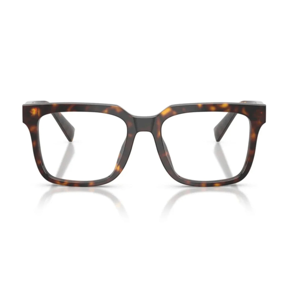 Dolce & Gabbana DG3422 - Havana - main - 502