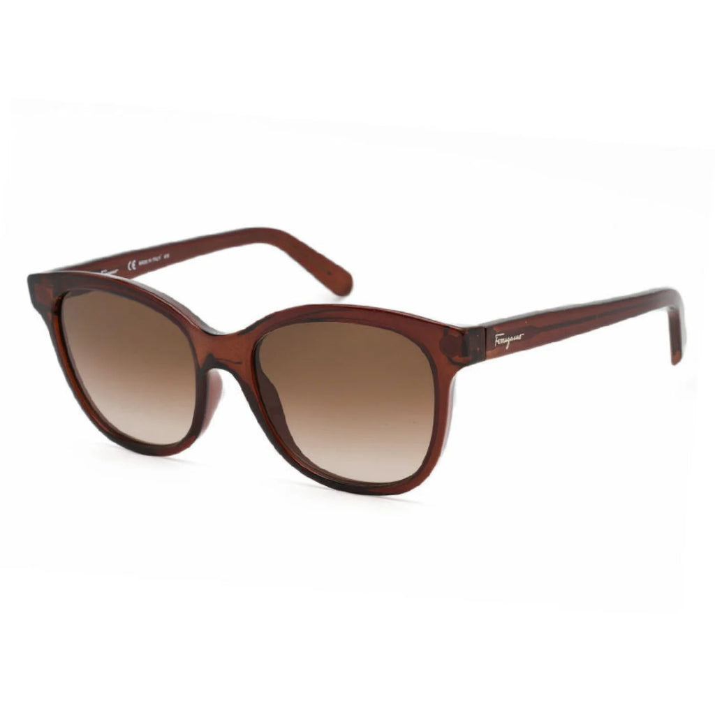 Salvatore Ferragamo SF834S - Transparent Brown - main - 210