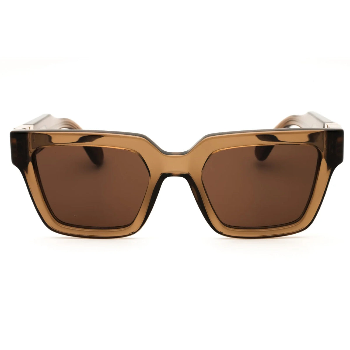 Salvatore Ferragamo SF2066S - Transparent Brown - main - 232