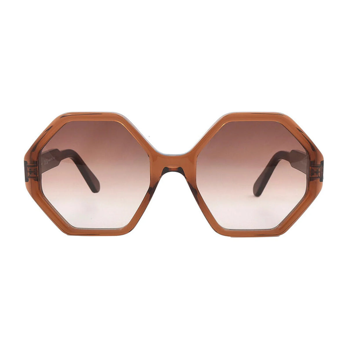 Salvatore Ferragamo SF1070S - Transparent Brown - main - 210