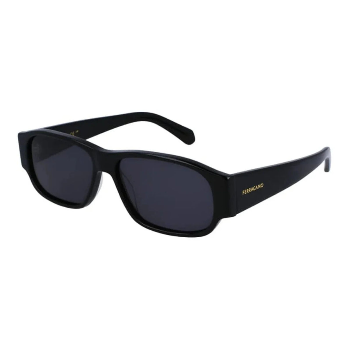 Salvatore Ferragamo SF1109S - Black - main - 001