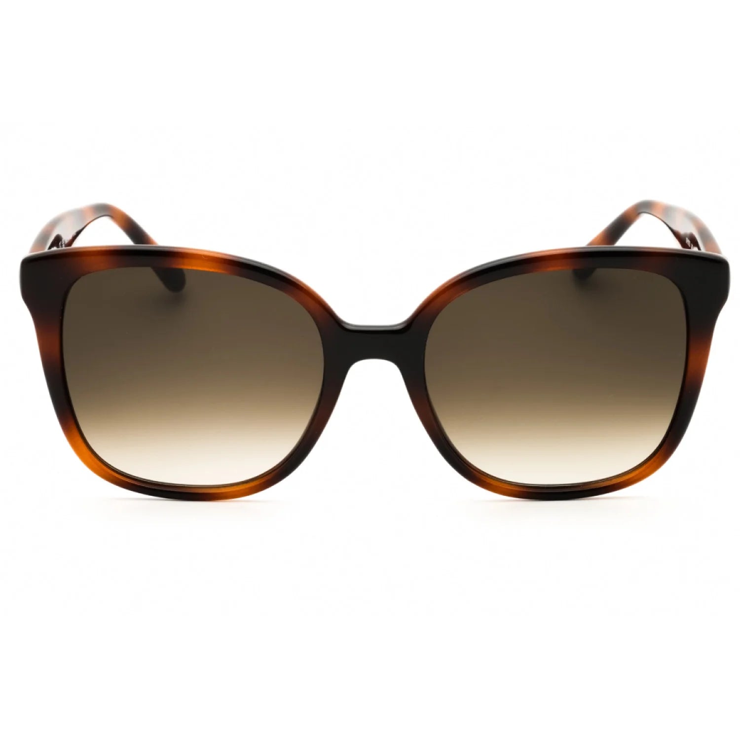 Salvatore Ferragamo SF1072S - Tortoise - main - 240