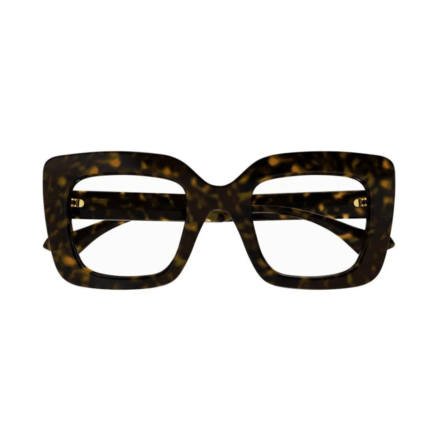 Gucci gg1554o - Shiny Dark Havana