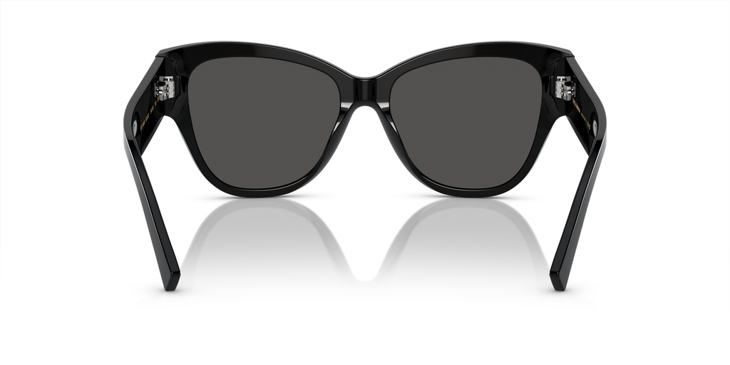 DG4449501 Sunglasses