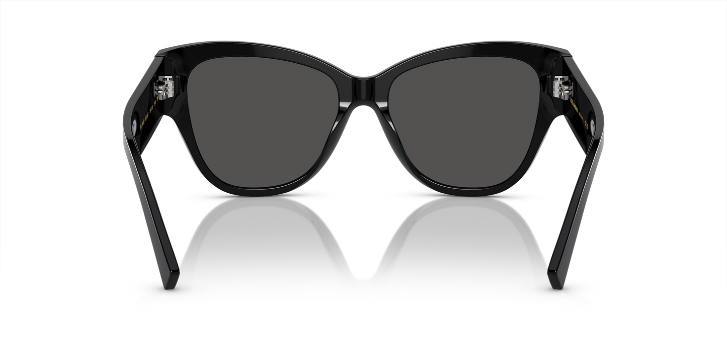 DG4449501 Sunglasses