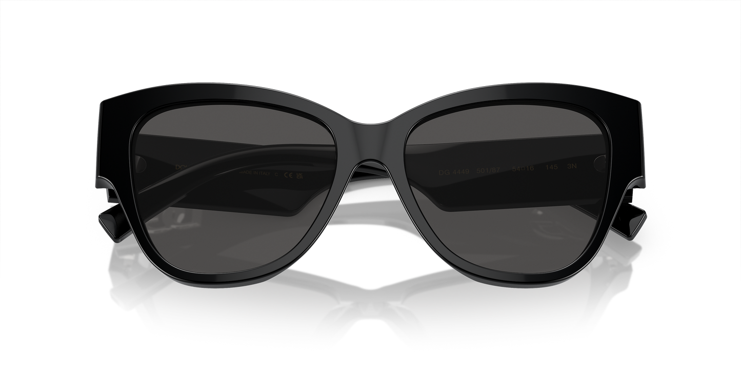 DG4449501 Sunglasses