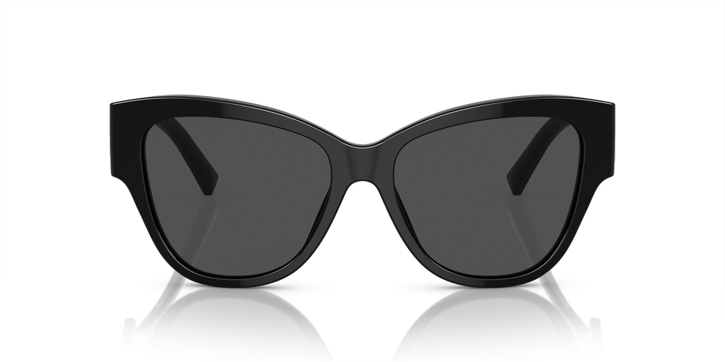 DG4449501 Sunglasses