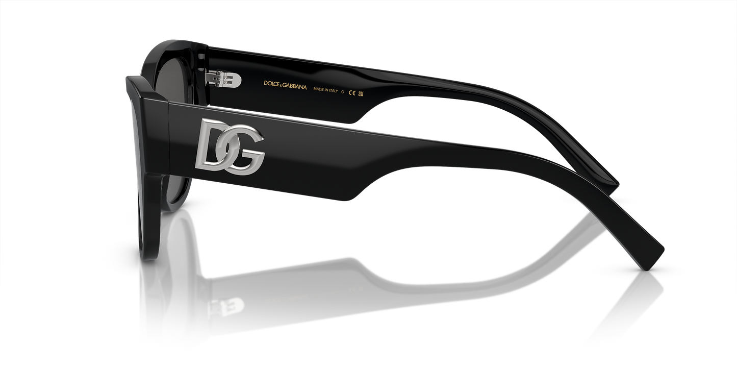 DG4449501 Sunglasses