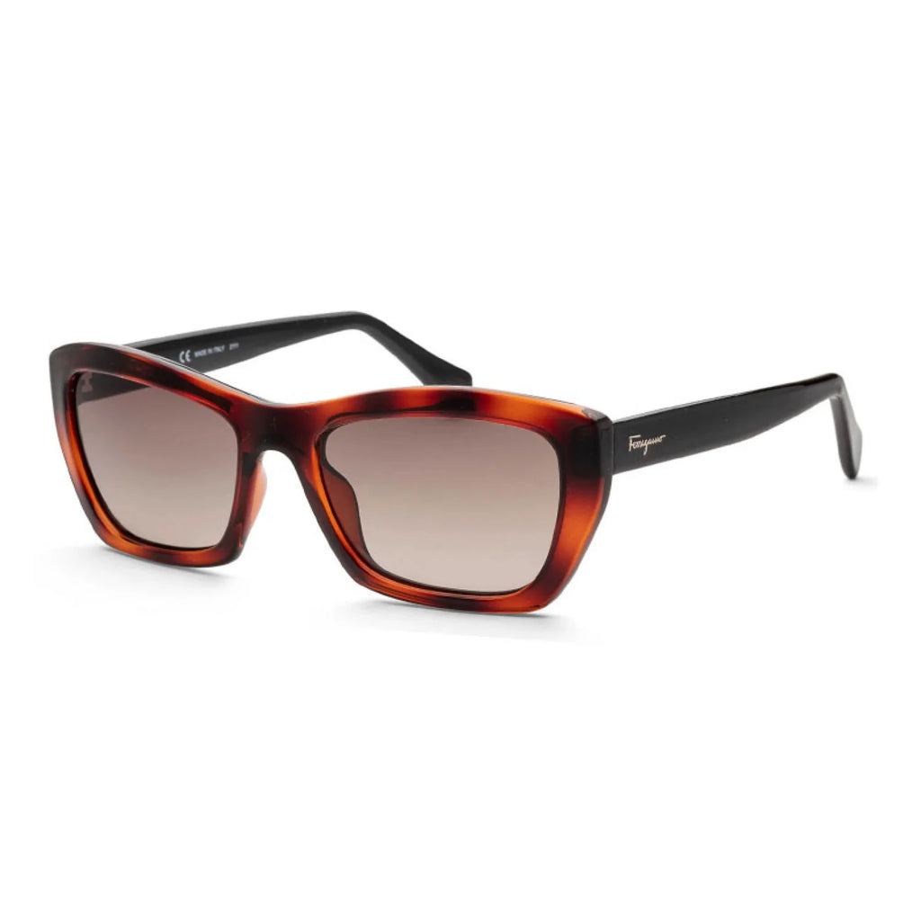 Salvatore Ferragamo SF958S - Havana - main - 214