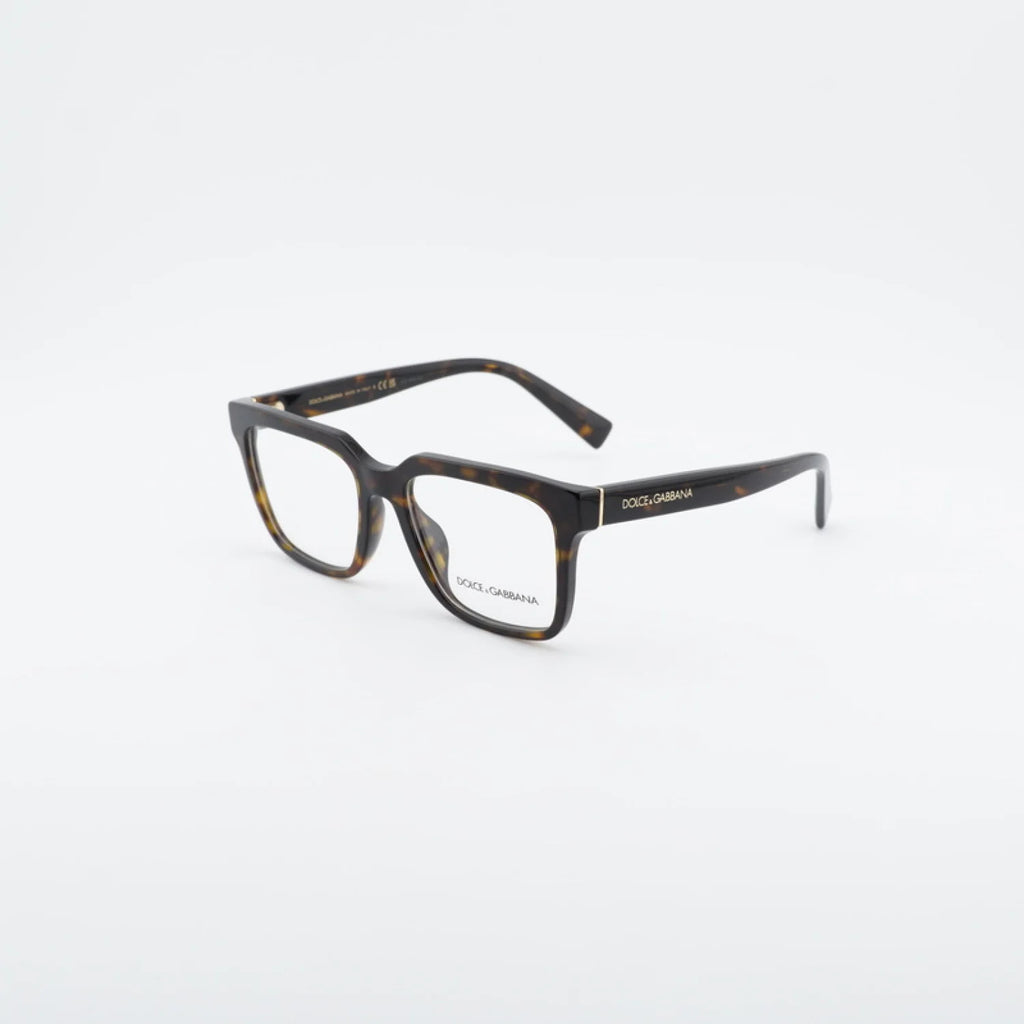 Dolce & Gabbana DG3422 - Havana - single_variant - 502