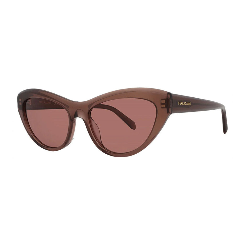 Salvatore Ferragamo SF1103S - Transparent Brown - main - 232