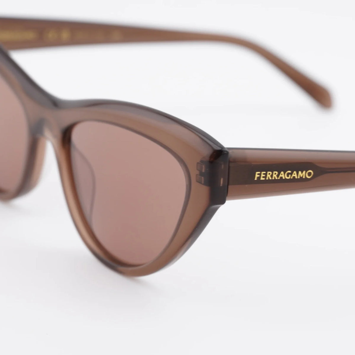 Salvatore Ferragamo SF1103S - Transparent Brown - main - 232