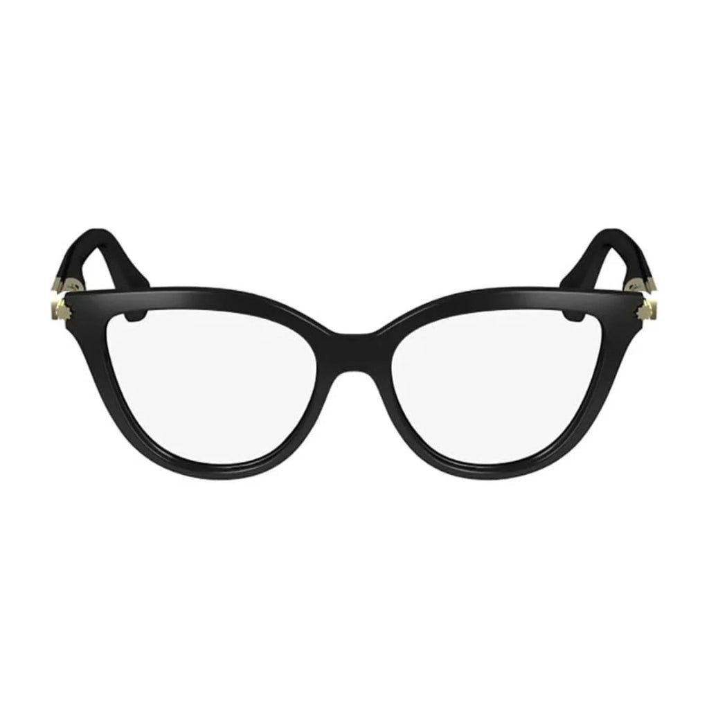 Salvatore Ferragamo SF2974 - Shiny Black - main - 001