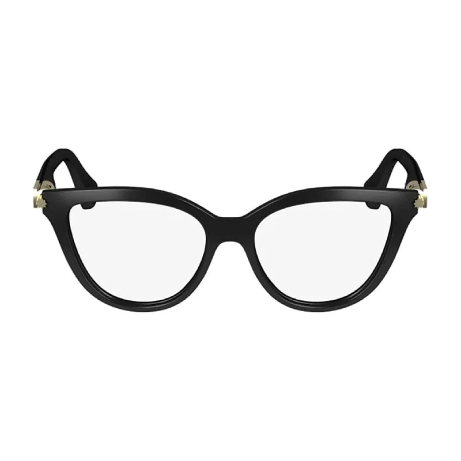 Salvatore Ferragamo SF2974 - Shiny Black - main - 001