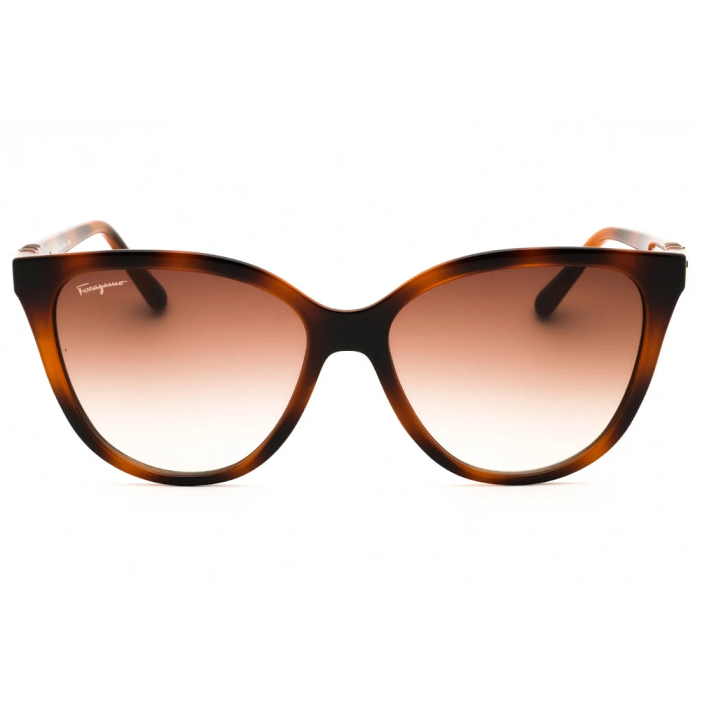 Salvatore Ferragamo SF1056S - Tortoise - main - 240